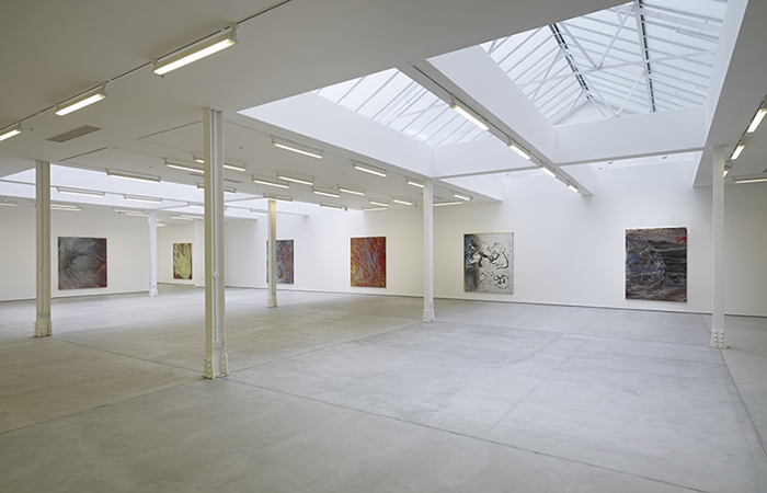 Ryan Sullivan, Sadie Coles HQ 2013 installation view